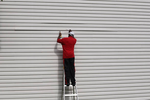 Best Siding Removal and Disposal  in Eagle Butte, SD
